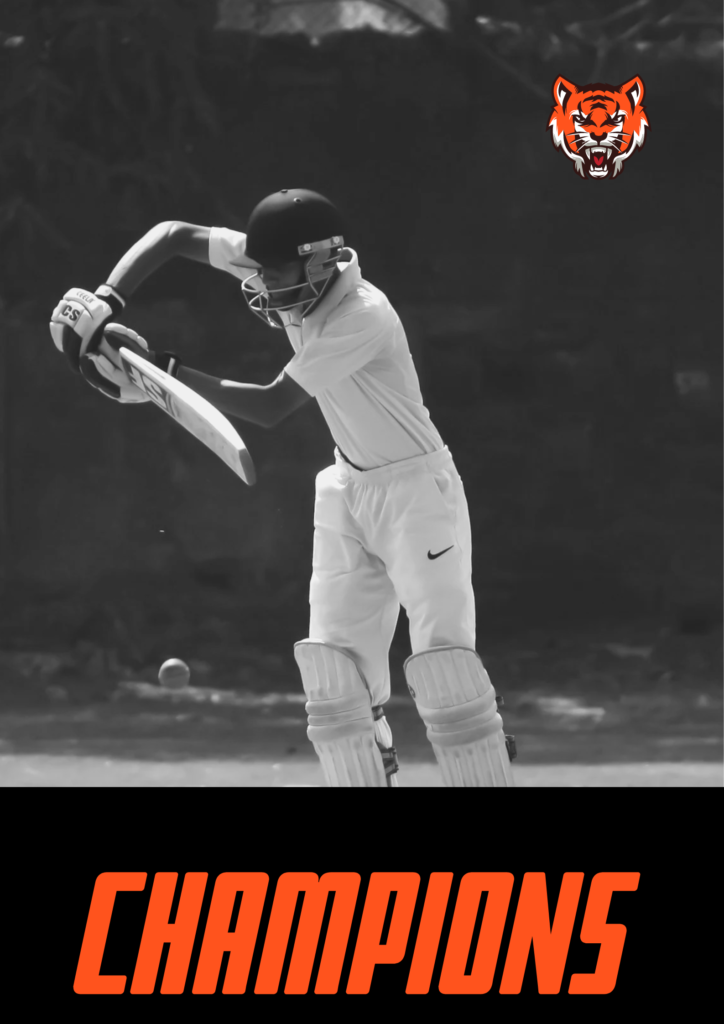 cricket batting image